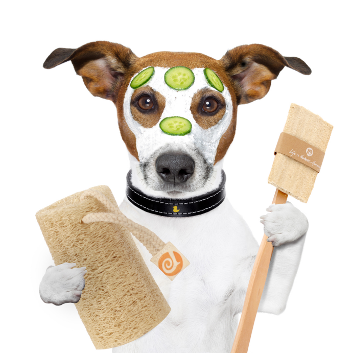 Dog with loofah bath and pet care products